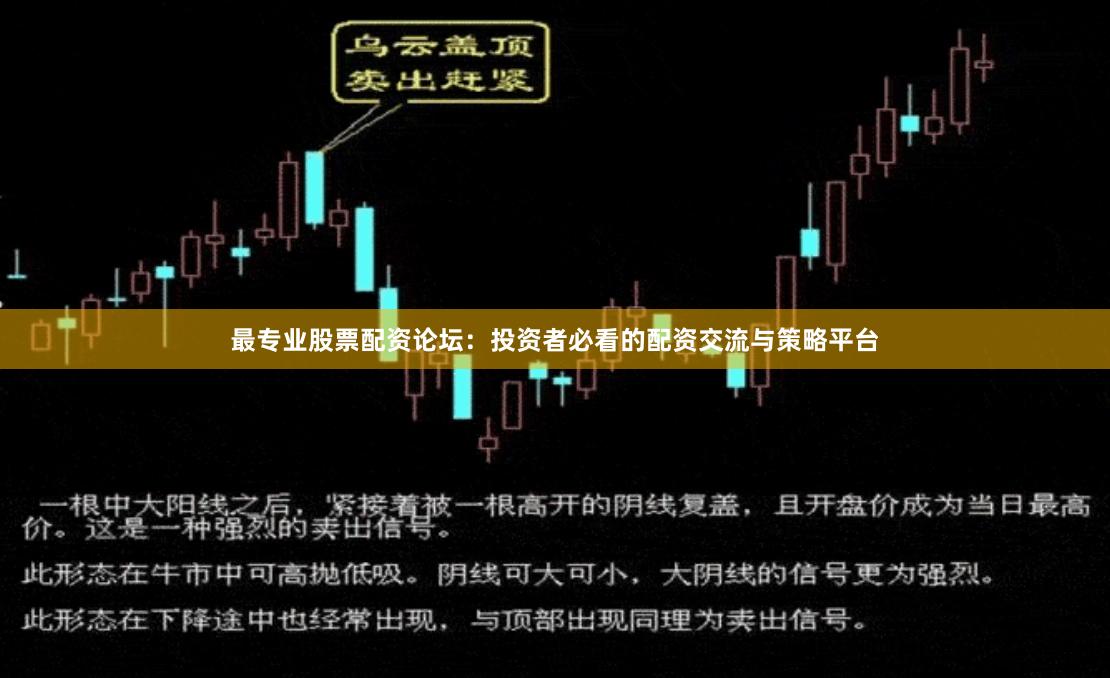 最专业股票配资论坛：投资者必看的配资交流与策略平台